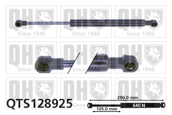 QUINTON HAZELL dujinė spyruoklė, gaubtas QTS128925